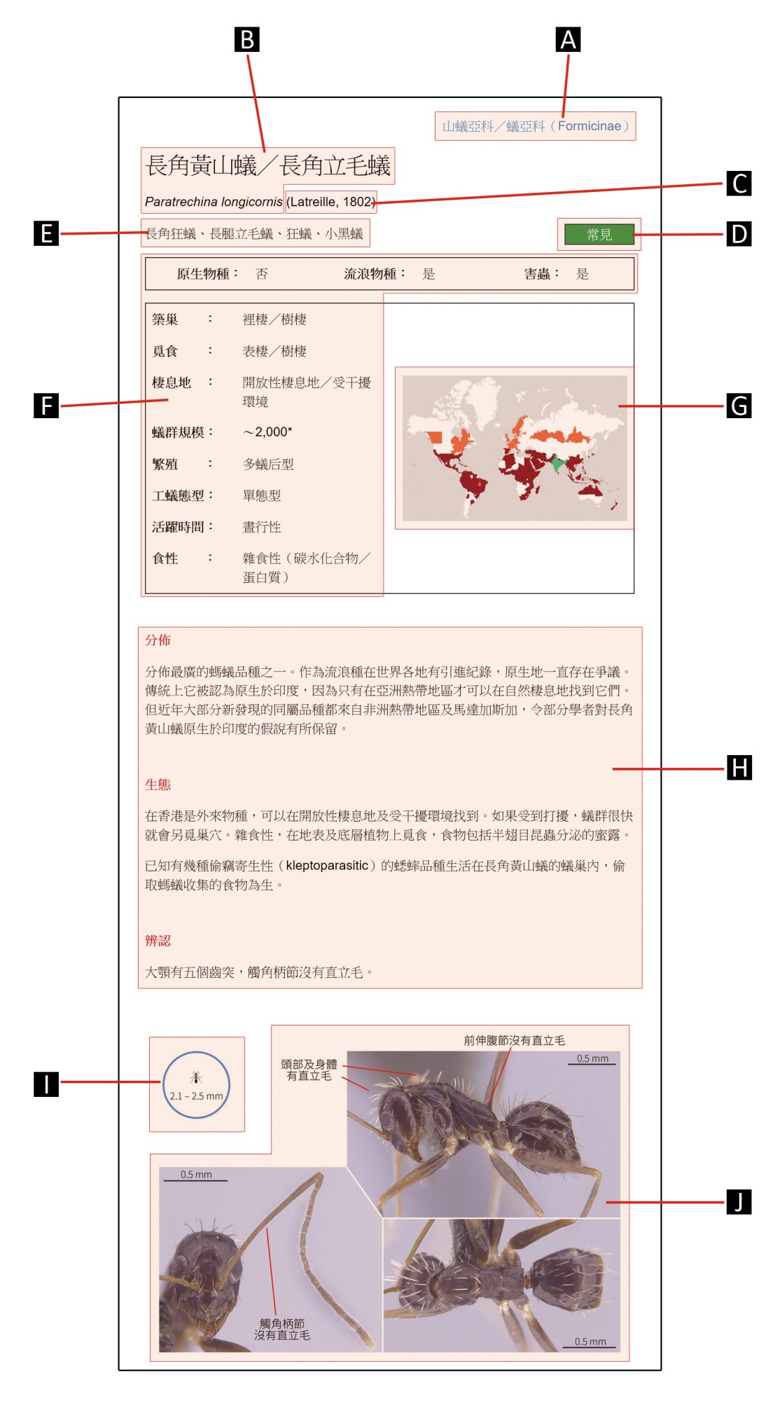 Website guide CHI Example